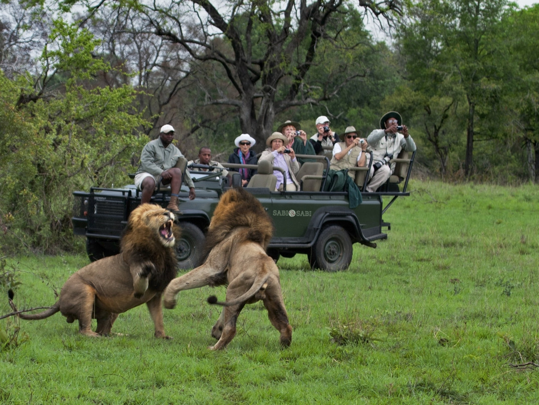Onsafari 48