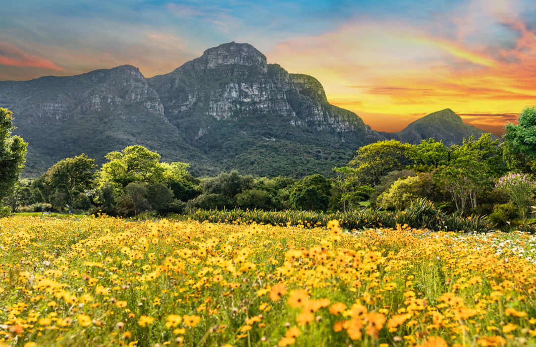 Ss Collection Home Packages Cape Town Kruger Kirstenbosch 