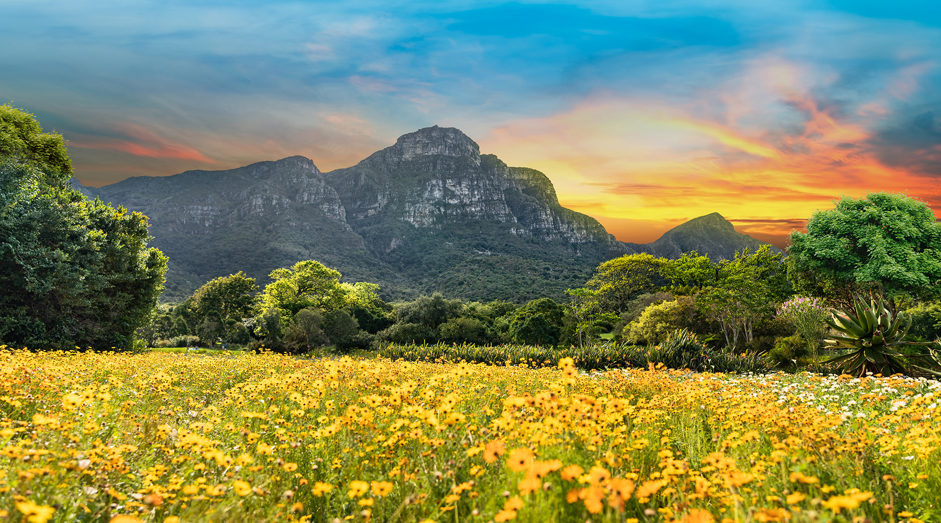 Ss Collection Home Packages Cape Town Kruger Kirstenbosch 