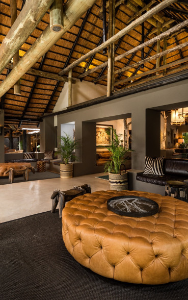 Bush Lodge Safari Lounge