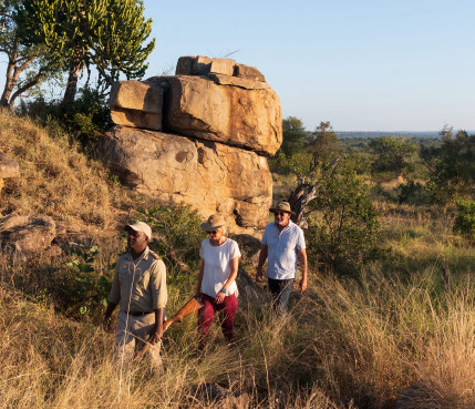 Sabi Sabi Rates Experience Walking Safari