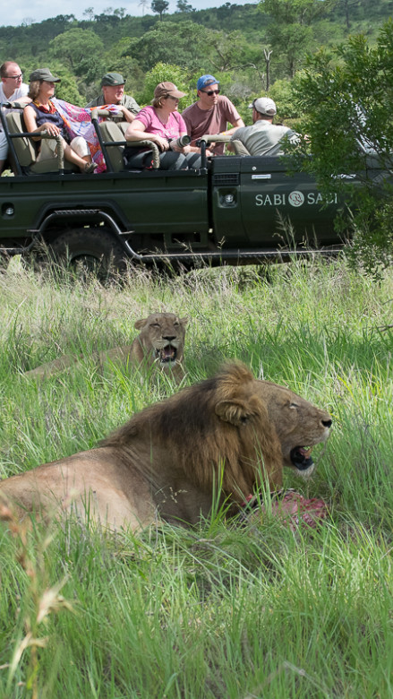 Onsafari 41