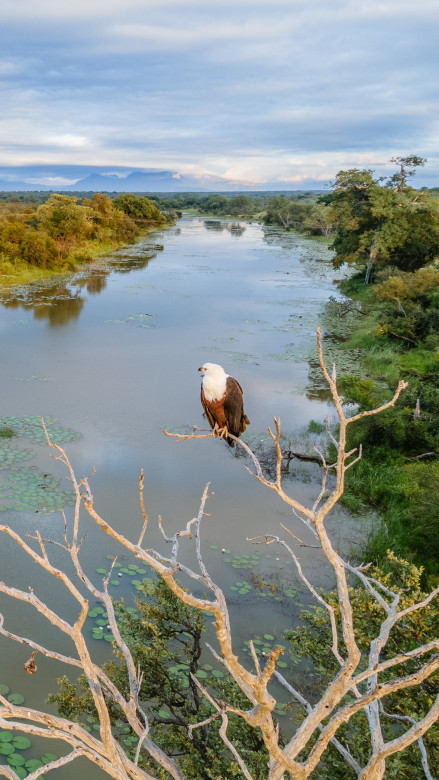 Sandringham Private Game Reserve 5