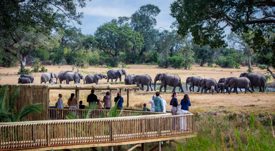Ss Collection Sabi Sabi Gallery Lodges Bush Lodge Viewing Deck 9