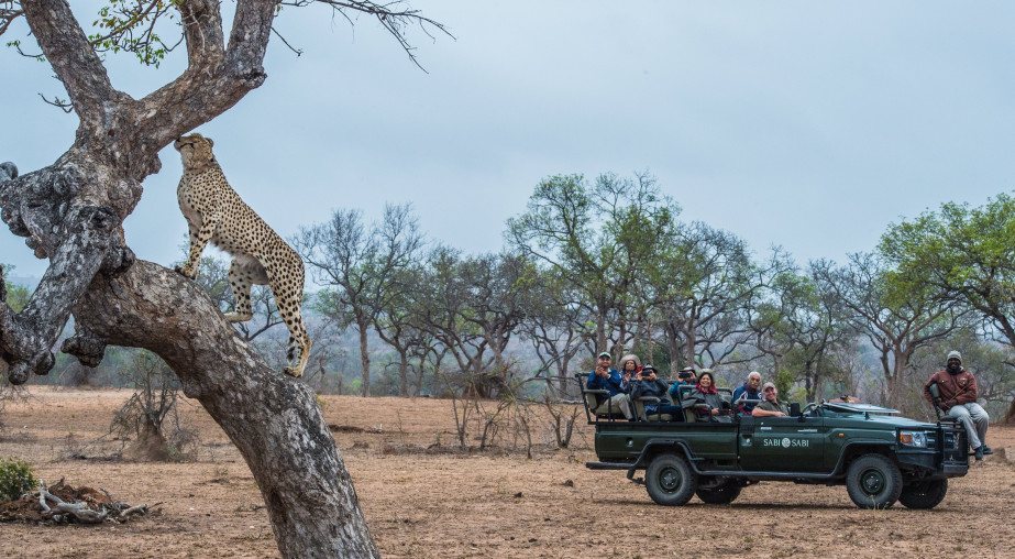 Onsafari 13