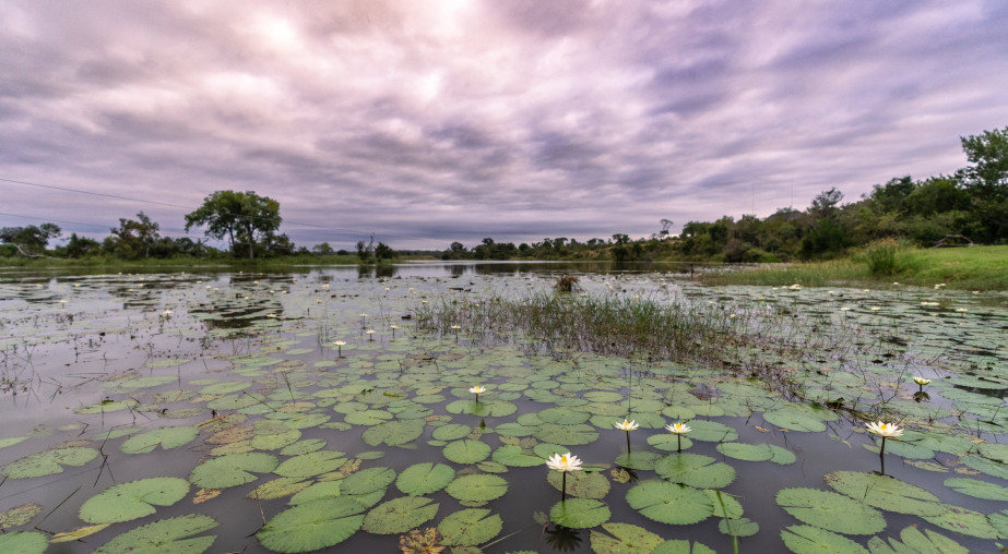 Sandringham Private Game Reserve 8